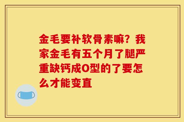 金毛要补软骨素嘛？我家金毛有五个月了腿严重缺钙成O型的了要怎么才能变直