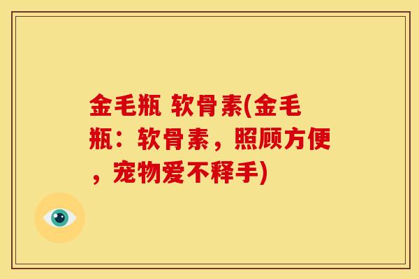 金毛瓶 软骨素(金毛瓶：软骨素，照顾方便，宠物爱不释手)