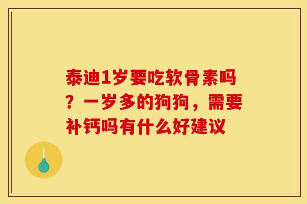 泰迪1岁要吃软骨素吗？一岁多的狗狗，需要补钙吗有什么好建议