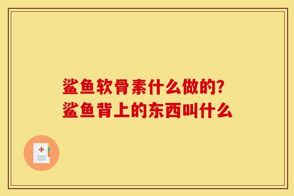 鲨鱼软骨素什么做的？鲨鱼背上的东西叫什么