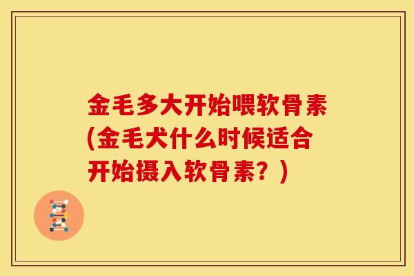 金毛多大开始喂软骨素(金毛犬什么时候适合开始摄入软骨素？)