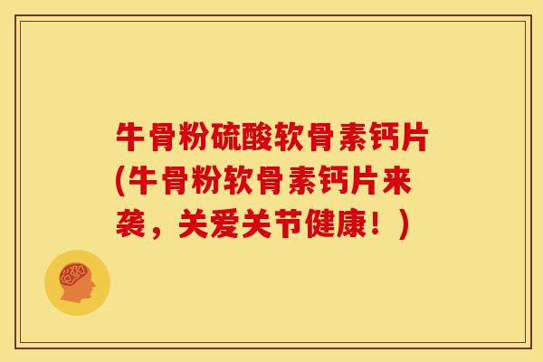牛骨粉硫酸软骨素钙片(牛骨粉软骨素钙片来袭，关爱关节健康！)