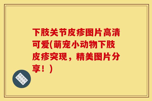 下肢关节皮疹图片高清可爱(萌宠小动物下肢皮疹突现，精美图片分享！)