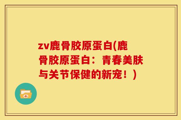 zv鹿骨胶原蛋白(鹿骨胶原蛋白：青春美肤与关节保健的新宠！)