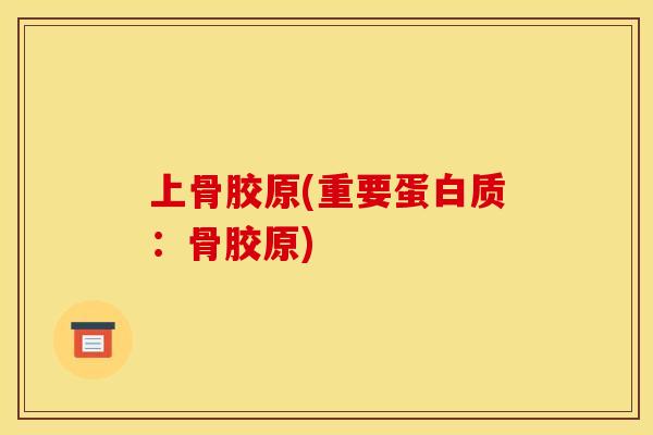 上骨胶原(重要蛋白质：骨胶原)