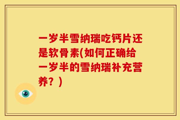 一岁半雪纳瑞吃钙片还是软骨素(如何正确给一岁半的雪纳瑞补充营养？)