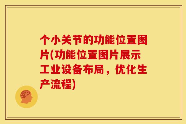 个小关节的功能位置图片(功能位置图片展示工业设备布局，优化生产流程)