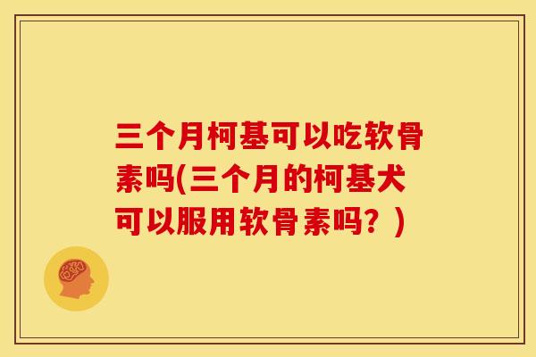 三个月柯基可以吃软骨素吗(三个月的柯基犬可以服用软骨素吗？)
