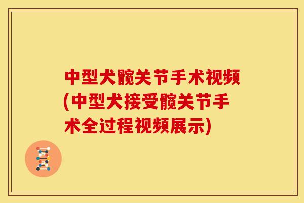 中型犬髋关节手术视频(中型犬接受髋关节手术全过程视频展示)