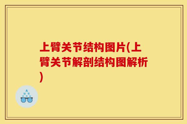 上臂关节结构图片(上臂关节解剖结构图解析)