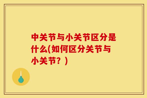 中关节与小关节区分是什么(如何区分关节与小关节？)