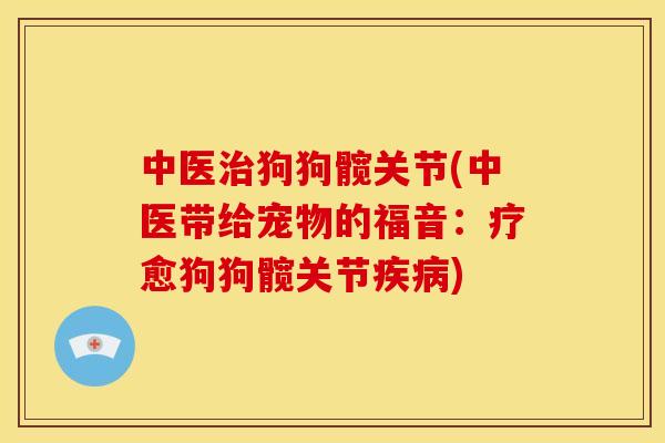 中医治狗狗髋关节(中医带给宠物的福音：疗愈狗狗髋关节疾病)