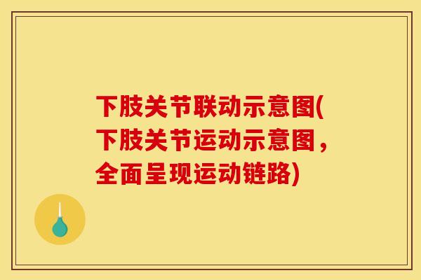下肢关节联动示意图(下肢关节运动示意图，全面呈现运动链路)