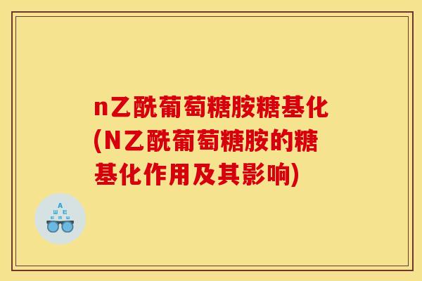 n乙酰葡萄糖胺糖基化(N乙酰葡萄糖胺的糖基化作用及其影响)