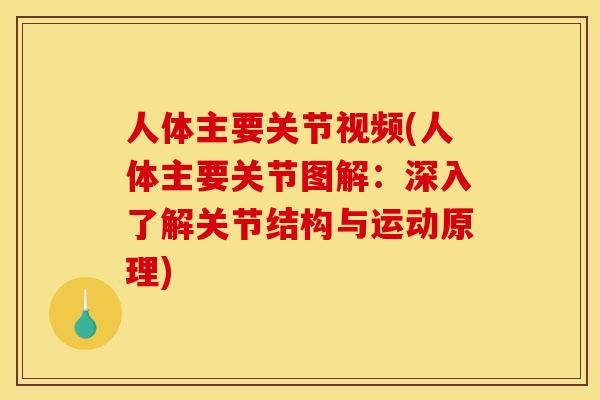 人体主要关节视频(人体主要关节图解：深入了解关节结构与运动原理)