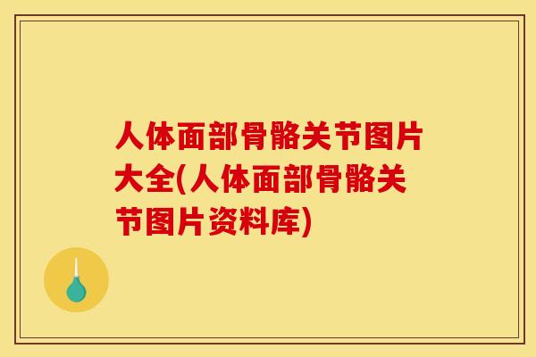 人体面部骨骼关节图片大全(人体面部骨骼关节图片资料库)