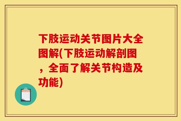 下肢运动关节图片大全图解(下肢运动解剖图，全面了解关节构造及功能)