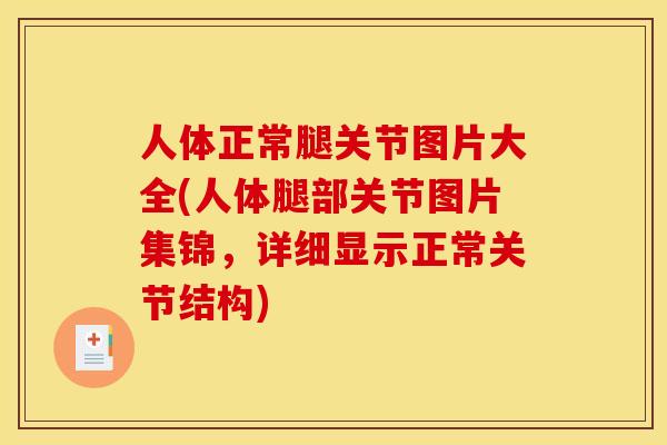 人体正常腿关节图片大全(人体腿部关节图片集锦，详细显示正常关节结构)