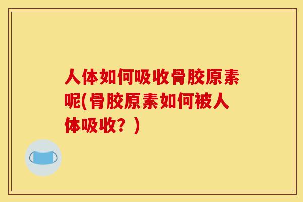 人体如何吸收骨胶原素呢(骨胶原素如何被人体吸收？)