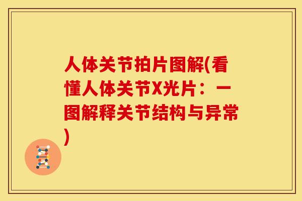 人体关节拍片图解(看懂人体关节X光片：一图解释关节结构与异常)