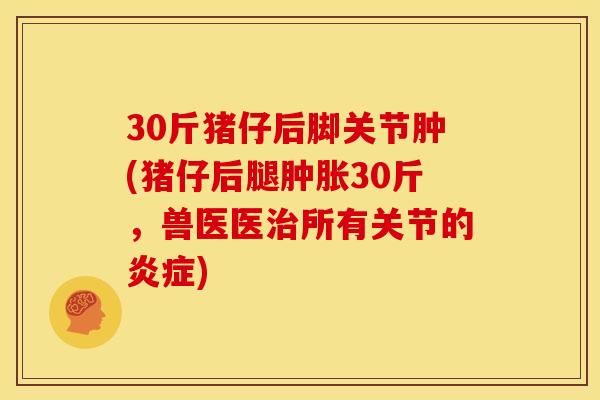30斤猪仔后脚关节肿(猪仔后腿肿胀30斤，兽医医治所有关节的炎症)
