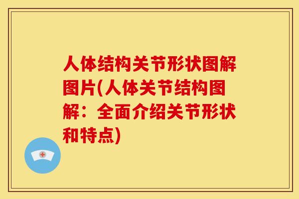 人体结构关节形状图解图片(人体关节结构图解：全面介绍关节形状和特点)