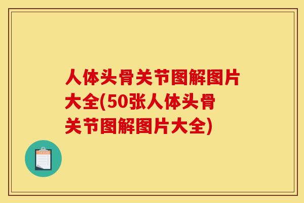 人体头骨关节图解图片大全(50张人体头骨关节图解图片大全) 人体头骨关节图解图片大全(50张人体头骨关节图解图片大全)