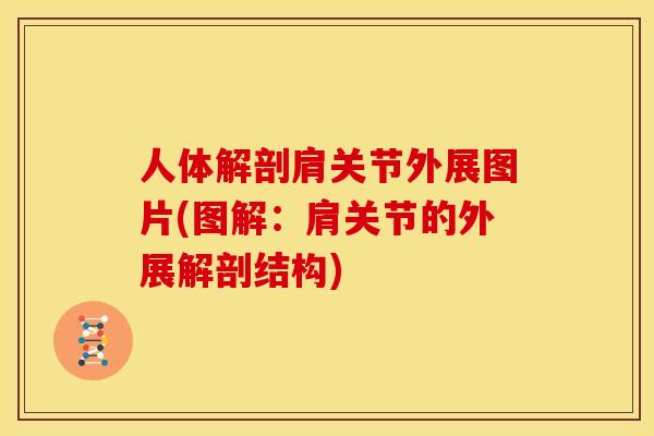 人体解剖肩关节外展图片(图解：肩关节的外展解剖结构)