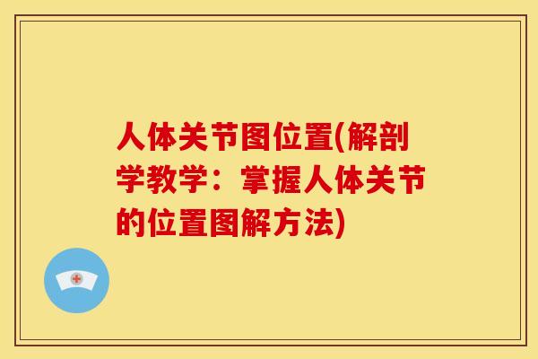 人体关节图位置(解剖学教学：掌握人体关节的位置图解方法)