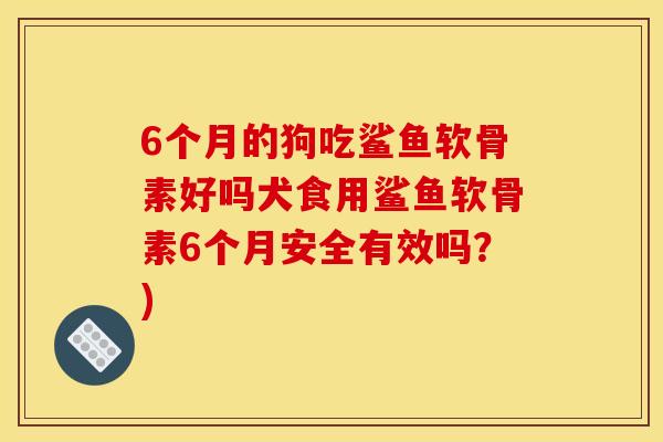 6个月的狗吃鲨鱼软骨素好吗犬食用鲨鱼软骨素6个月安全有效吗？)