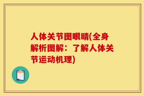 人体关节图眼睛(全身解析图解：了解人体关节运动机理)