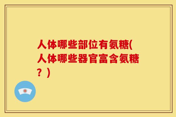 人体哪些部位有氨糖(人体哪些器官富含氨糖？)