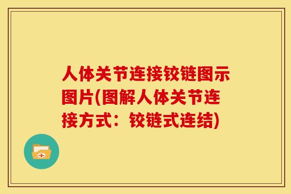 人体关节连接铰链图示图片(图解人体关节连接方式：铰链式连结)