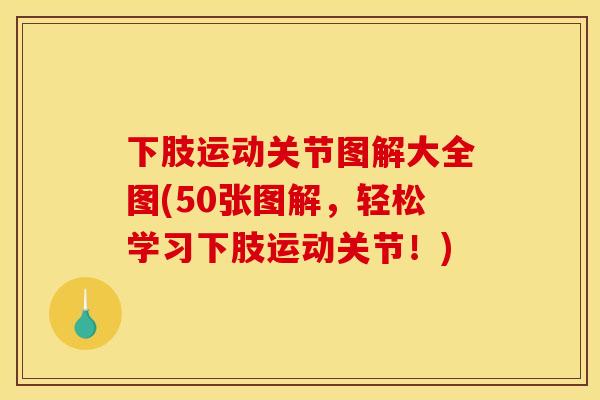 下肢运动关节图解大全图(50张图解，轻松学习下肢运动关节！)