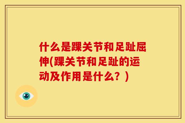 什么是踝关节和足趾屈伸(踝关节和足趾的运动及作用是什么？)