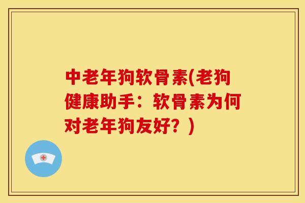 中老年狗软骨素(老狗健康助手：软骨素为何对老年狗友好？)