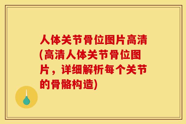 人体关节骨位图片高清(高清人体关节骨位图片，详细解析每个关节的骨骼构造)