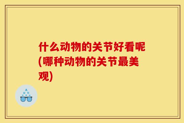 什么动物的关节好看呢(哪种动物的关节最美观)