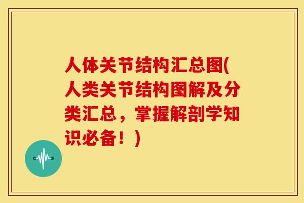 人体关节结构汇总图(人类关节结构图解及分类汇总，掌握解剖学知识必备！)