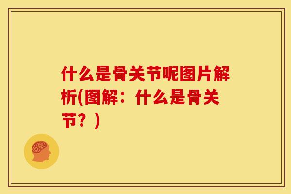 什么是骨关节呢图片解析(图解：什么是骨关节？)