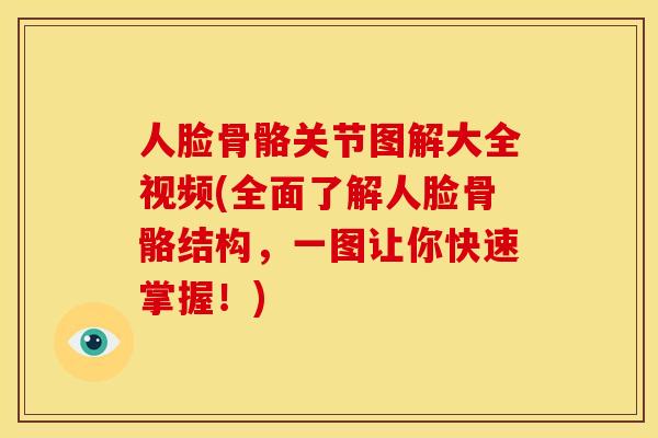 人脸骨骼关节图解大全视频(全面了解人脸骨骼结构，一图让你快速掌握！)