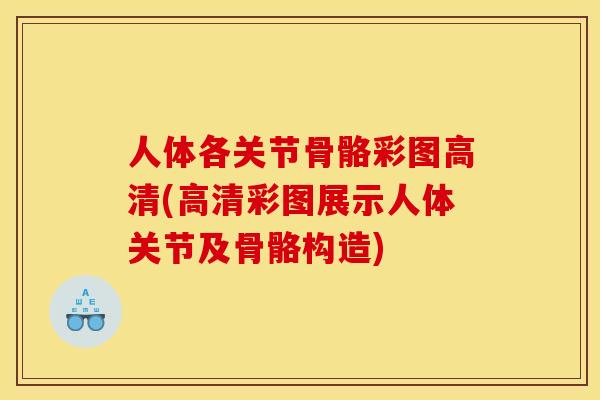 人体各关节骨骼彩图高清(高清彩图展示人体关节及骨骼构造)