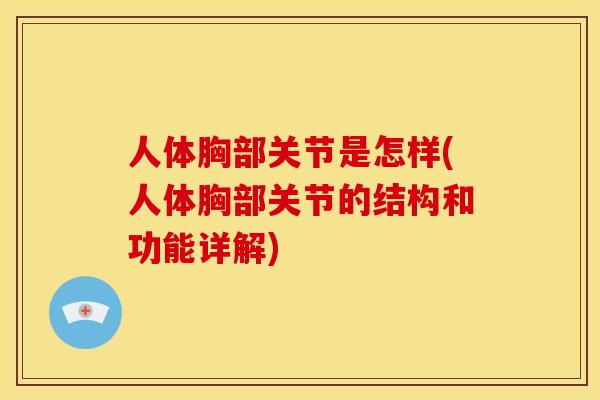 人体胸部关节是怎样(人体胸部关节的结构和功能详解)