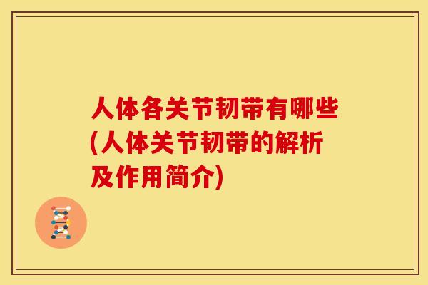 人体各关节韧带有哪些(人体关节韧带的解析及作用简介)