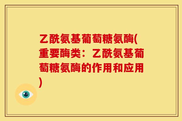 乙酰氨基葡萄糖氨酶(重要酶类：乙酰氨基葡萄糖氨酶的作用和应用)