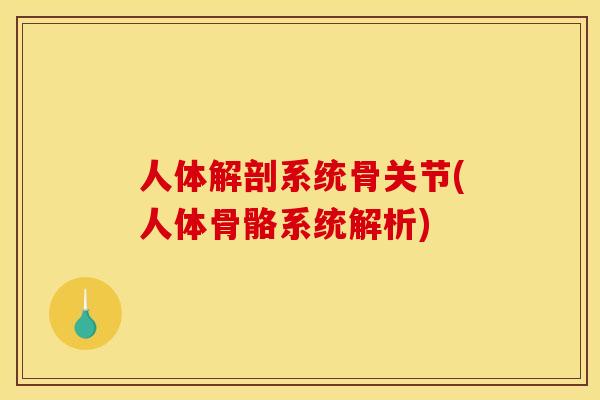 人体解剖系统骨关节(人体骨骼系统解析)