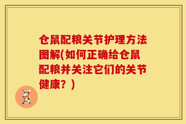 仓鼠配粮关节护理方法图解(如何正确给仓鼠配粮并关注它们的关节健康？)
