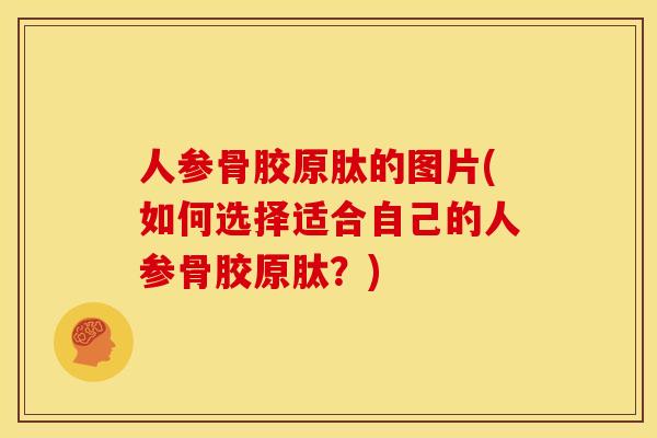 人参骨胶原肽的图片(如何选择适合自己的人参骨胶原肽？)