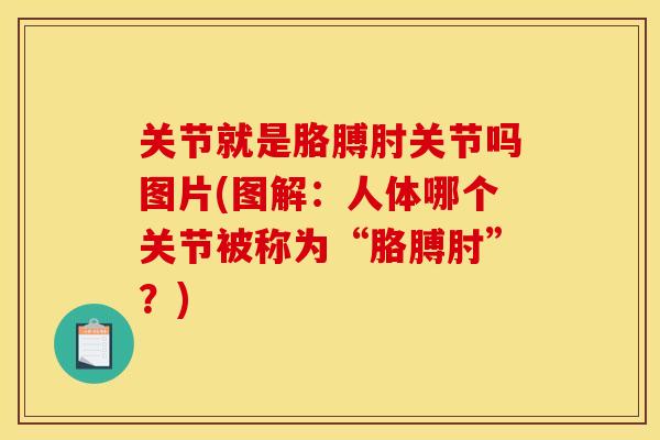 关节就是胳膊肘关节吗图片(图解：人体哪个关节被称为“胳膊肘”？)