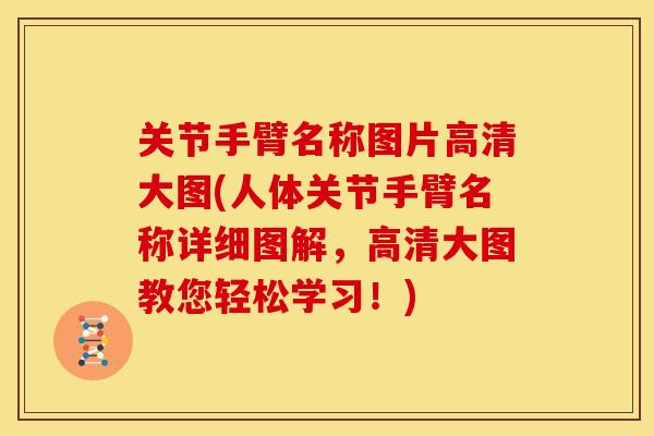 关节手臂名称图片高清大图(人体关节手臂名称详细图解,高清大图教您轻松学习!) 关节手臂名称图片高清大图(人体关节手臂名称详细图解,高清大图教您轻松学习!)